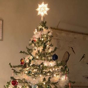 Meet your Posher, Bernarda